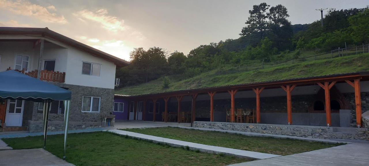 Telteu Florian Hotel Dunatölgyes Kültér fotó