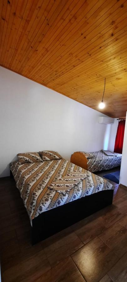 Telteu Florian Hotel Dunatölgyes Kültér fotó